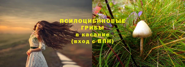 экстази Горняк