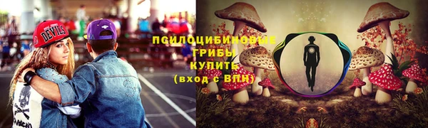 МДПВ Гусев