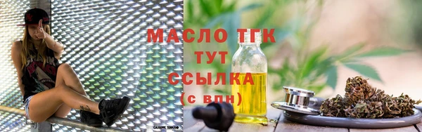 МДПВ Гусев